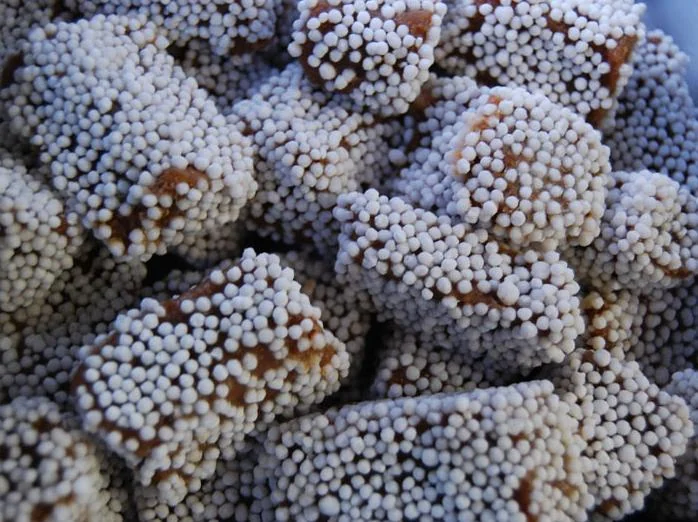 Bal Mithai, the sweet associated with Almora