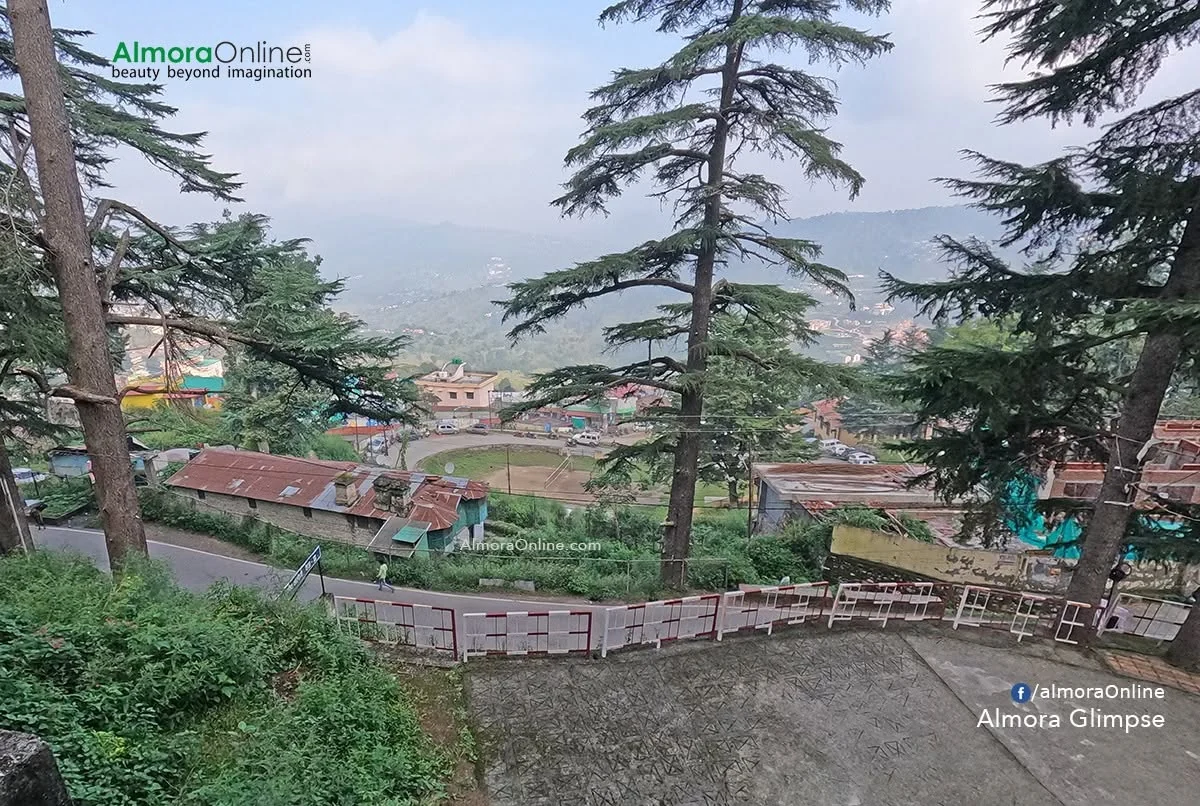 देवदारों के बीच अल्मोड़ा