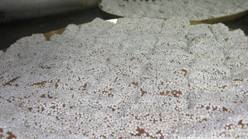 AlmoraтАЩs bal mithai