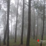 Uttarakhand tourism