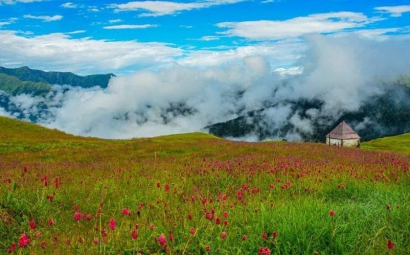 डाली डाली फूलों की, तुझको बुलाये रे मुसाफिर मेरे उत्तराखंड में...- 'बेदिनी बुग्याल'
