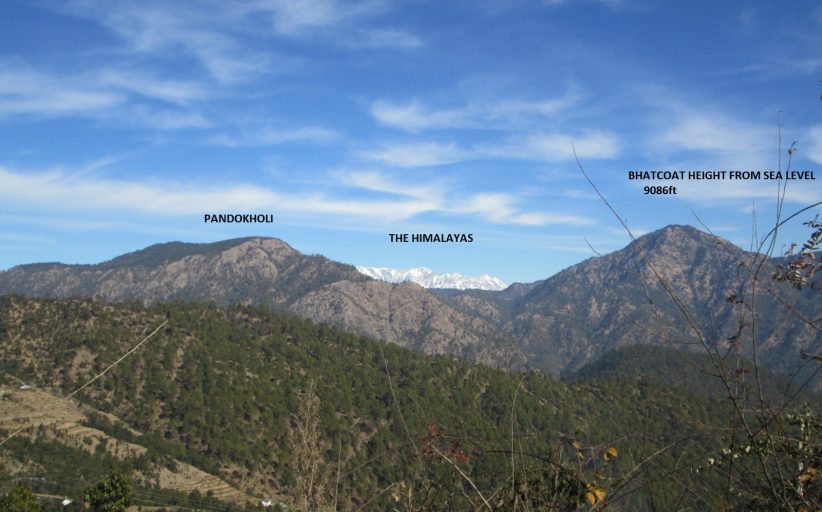 ट्रेकिंग के हैं शौकीन, तो इस बार जाइए भटकोट