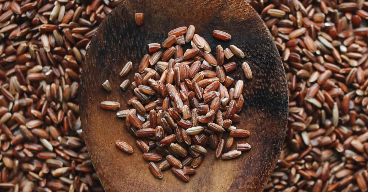 ब्राउन राइस - पोषक तत्वों  का खजाना, सफ़ेद चावल से कई गुना अधिक पोषक