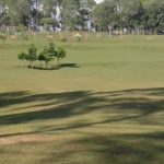 Golf Course