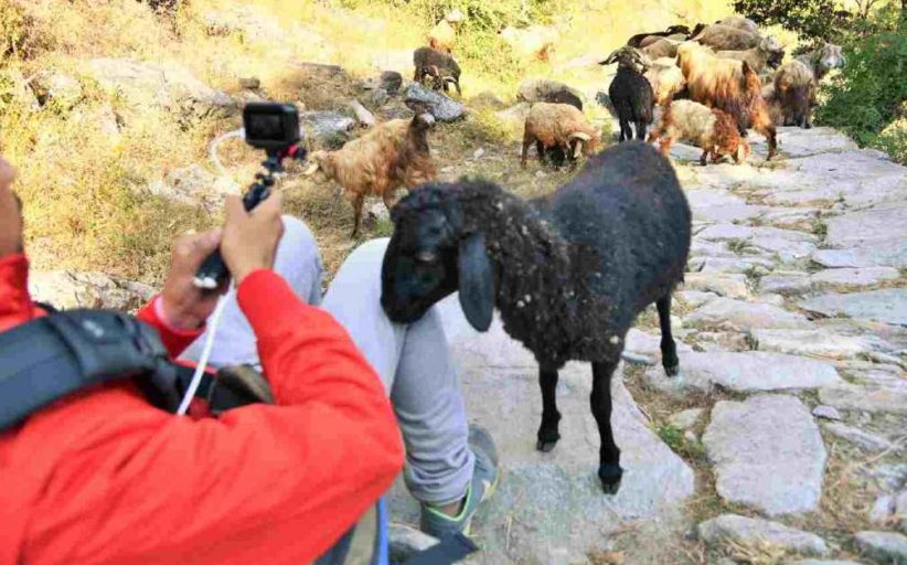 उत्तराखंड के ट्रैकिंग मार्गों में होम स्टे से बढ़ेगा रोजगार, छह जिलों में 11 सेंटर दर्ज/अधिसूचित