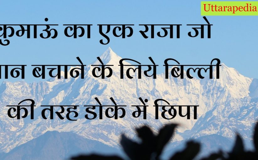 कुमाऊं का एक राजा जो जान बचाने के लिये बिल्ली की तरह डोके में छिपा