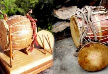 उत्तराखंड के वाद्य यंत्र Dhol_Damau