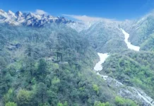Yamuna River River-Yamuna