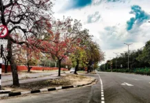 Chandigarh(चंडीगढ़) : The City Beautiful