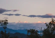 Chaukori (चौकोड़ी) chaukori uttarakhnd hill station