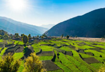 Uttarakhand : कुमाऊं की 7 सबसे खूबसूरत जगह, क्या पता इनमे से एक आपका भी शहर हो! Hill-Station-Uttarakhand-Feature