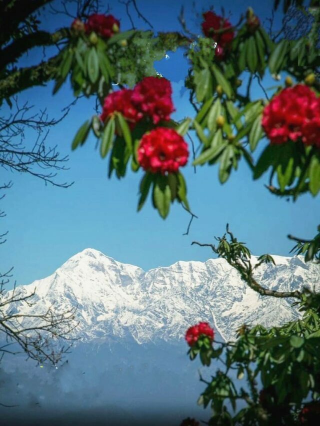 Uttarakhand के 10 Hill Station इस वर्ष travel plan कर सकते हैं!