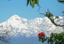 Binsar Wildlife बिनसर Binsar Wildlife