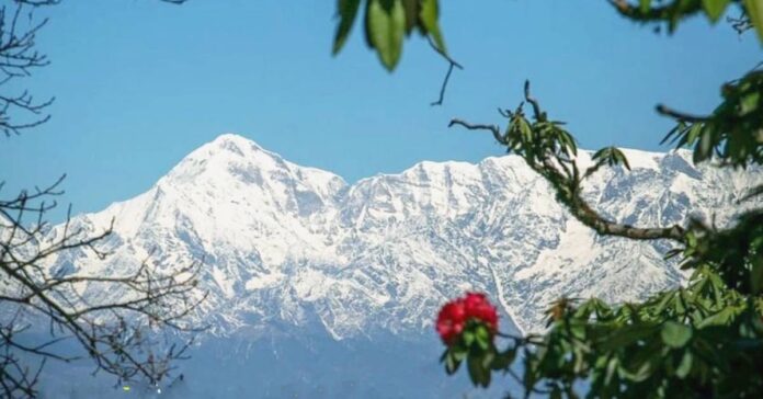 Binsar Wildlife
