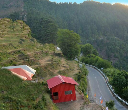 Dhanaulti धनोल्टी, मसूरी के निकट शांत हिल स्टेशन Dhanaulti