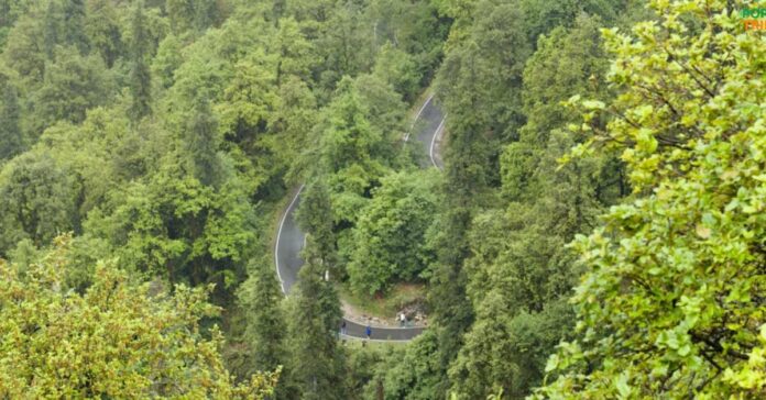 Hill Drive Easy