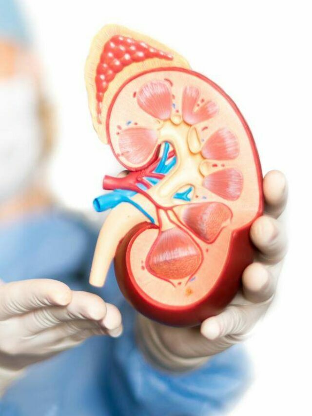 Kidney Problem: किडनी फिट है या अनफिट? इन लक्षणों को पहचान कर तुरंत इलाज शुरू करा दीजिए