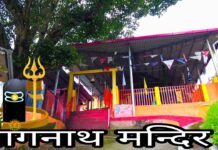 Mahadev: महादेव के गले में लिपटे हुए नाग का मंदिर जिसका नाम है नागनाथ का मंदिर