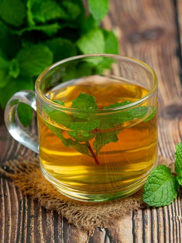 Peppermint Tea: वेट लॉस में मददगार साबित हो सकती है ‘पुदीने की चाय’, इसको पीने के हैं कई फायदे