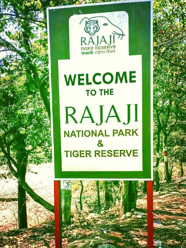 Rajaji national Park, Uttarakhand