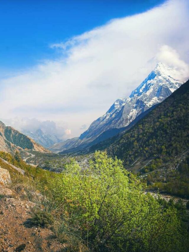 Gangotri National Park Uttarakhand