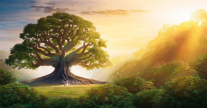 Majestic Oak Tree in Vibrant Forest with Golden Sunlight – Nature and Environmental Scene
